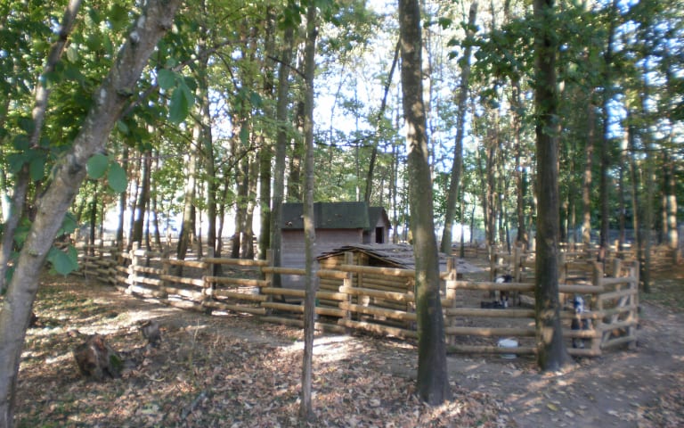 Image Résidence - 2 : EHPAD Résidence Malka