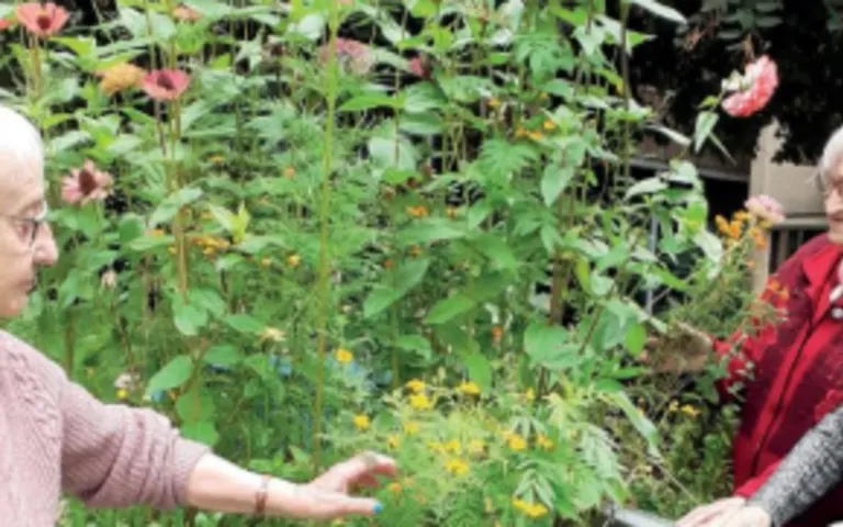 Image Résidence - 4 : Foyer-Logement la Calamine