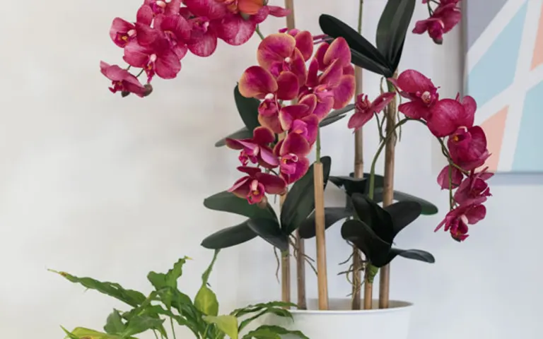 Image Résidence - 3 : Résidence le Pardigaou