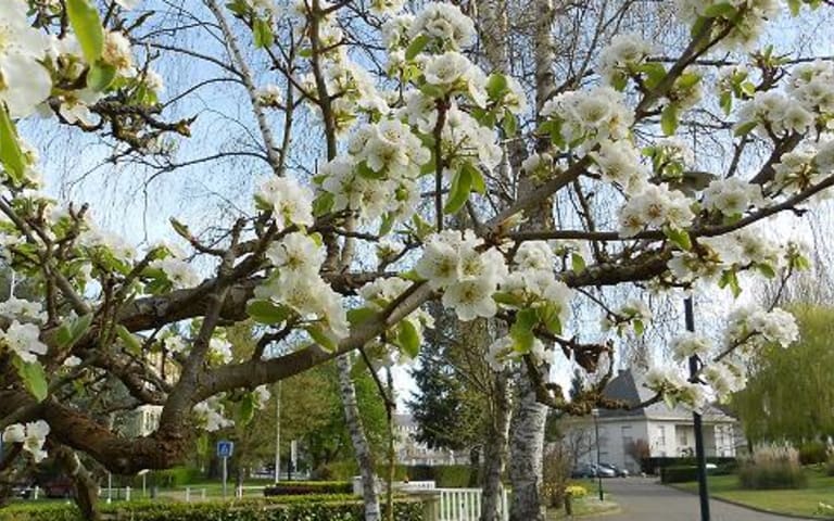 Image Résidence - 2 : Institut Mgen de la Verriere