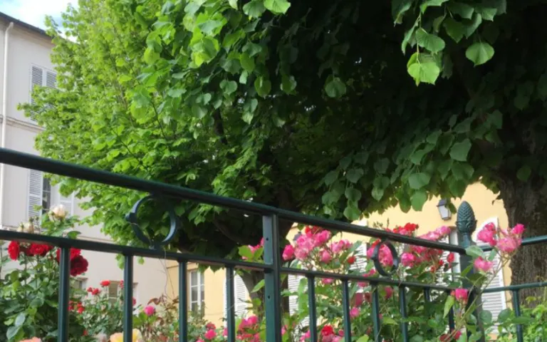 Image Résidence - 3 : EHPAD Notre-Dame