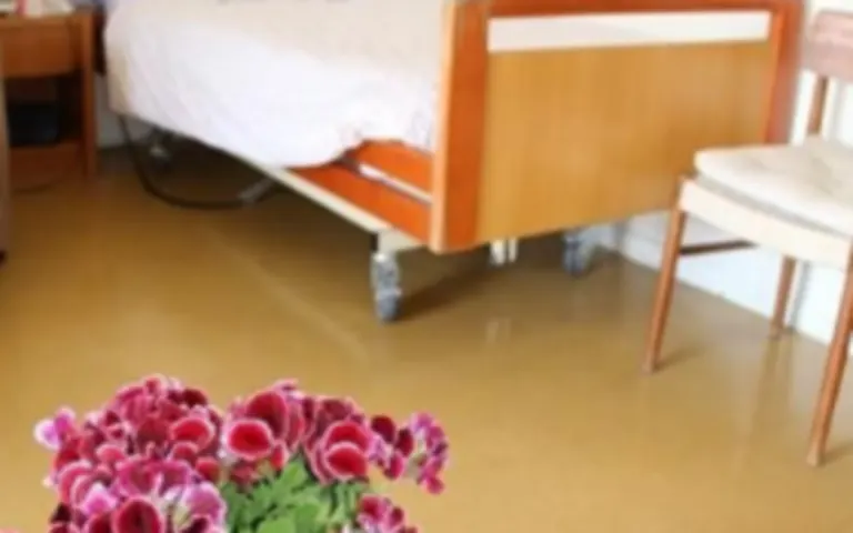 Image Résidence - 2 : EHPAD Residence Stéphanie