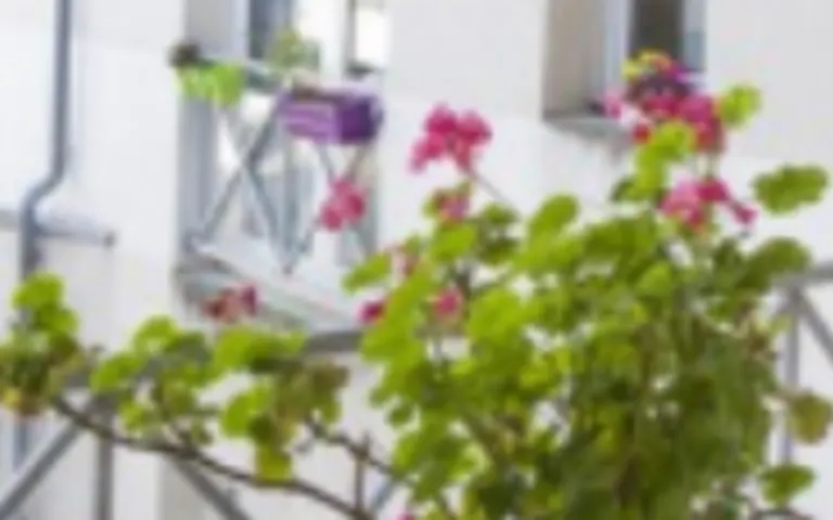 Image Résidence - 1 : Foyer-Logement Résidence Soleil d'Or