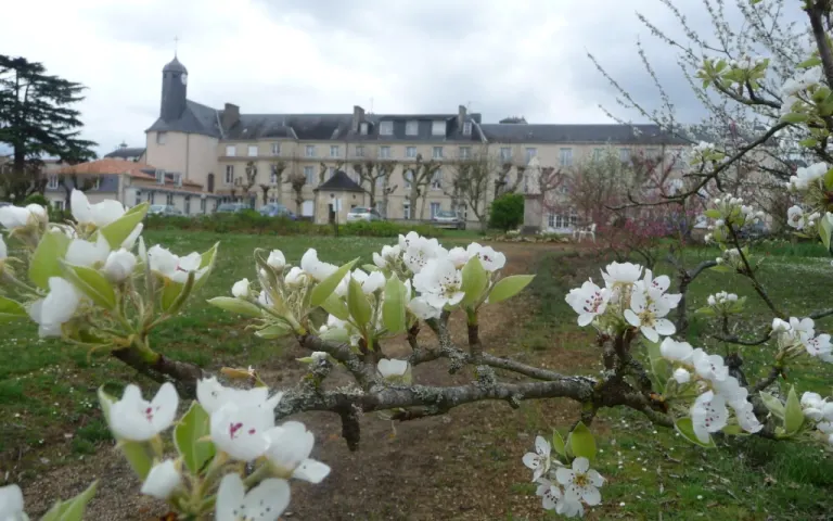 Image Résidence - 2 : EHPAD Grand'maison des Sacrés-Coeurs