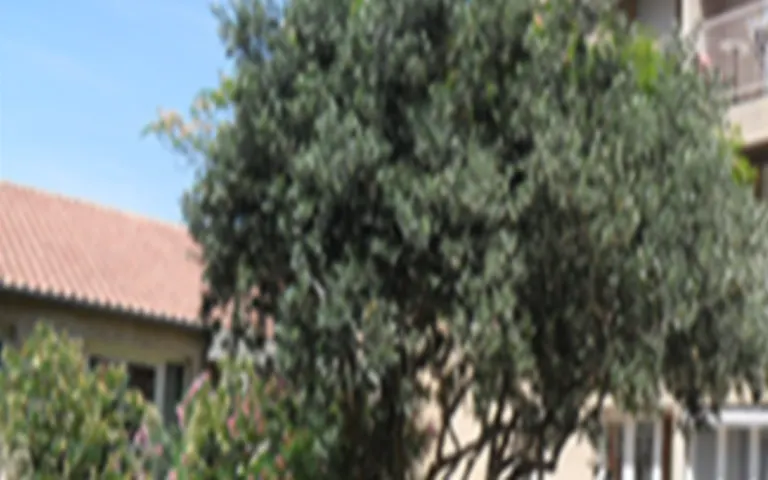 Image Résidence - 1 : Foyer-Logement le Clos de la Jarretiere