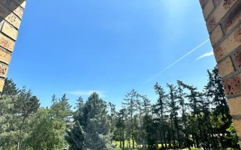 Image Résidence - 1 : Le Bois la Rose