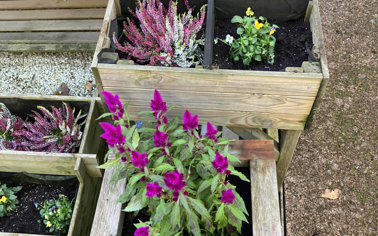 Image Résidence - 3 : La Maison de l'érable Argenté