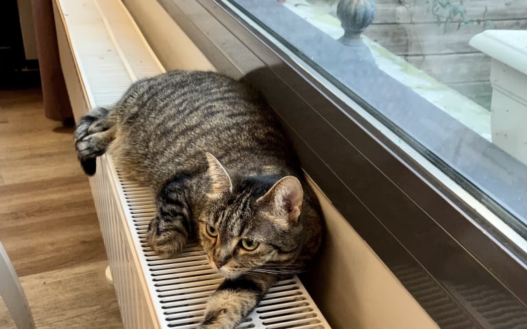 Image Résidence - 1 : La Maison de l'érable Argenté