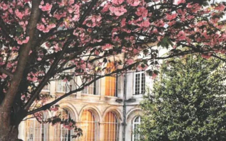 Image Résidence - 2 : EHPAD Maison Ferrari - Ordre de Malte