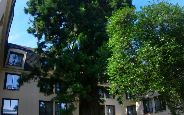 Image Résidence - 4 : Residence le Sequoia