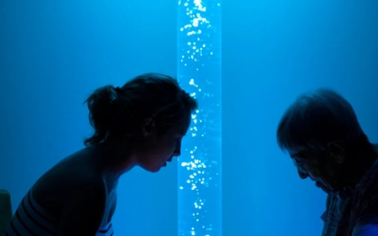 Image Résidence - 4 : EHPAD la Maison des Lumières