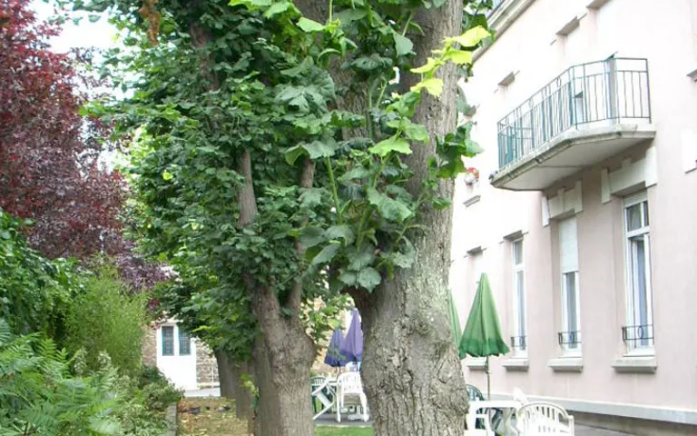 Image Résidence - 1 : EHPAD Sainte-Marthe