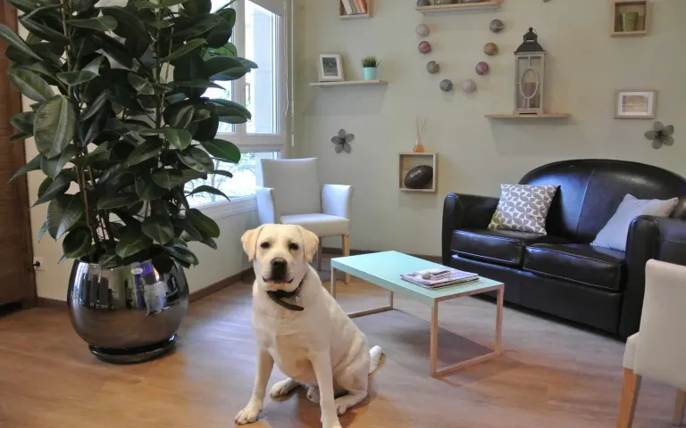 Image Résidence - 1 : EHPAD le Moulin Vert