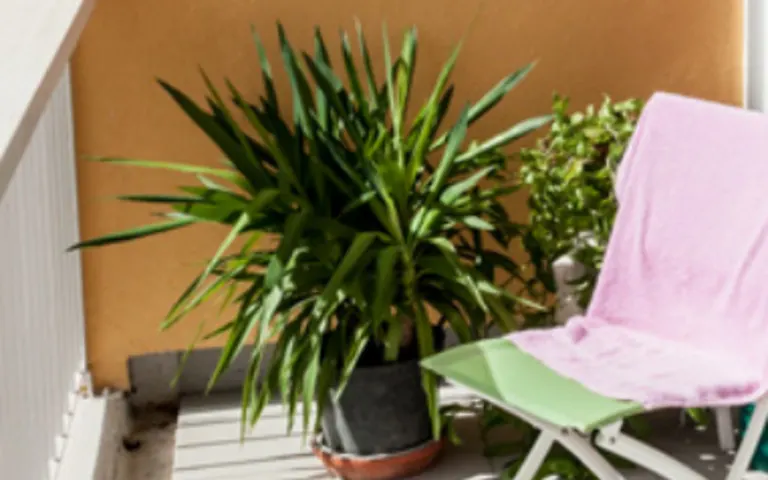 Image Résidence - 1 : Résidence les Pervenches