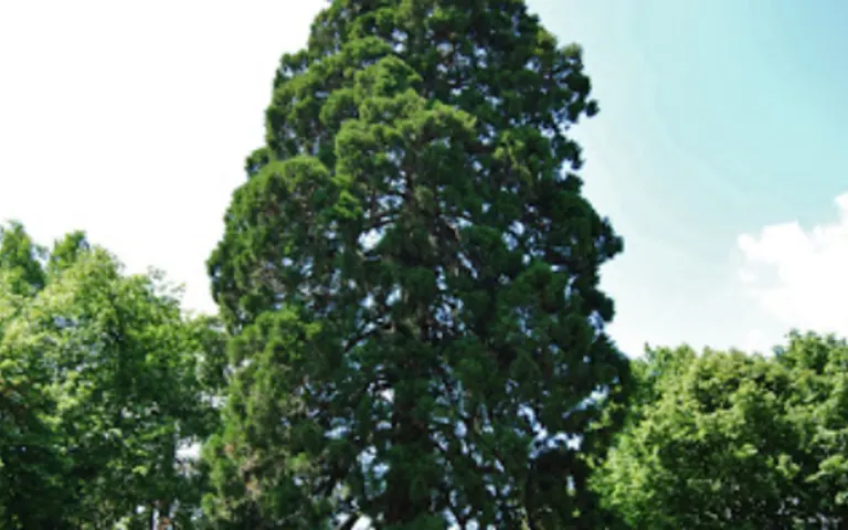 Image Résidence - 1 : Maison de Retraite l'Ermitage