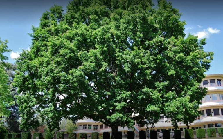 Image Résidence - 3 : Maison de Retraite l'Ermitage