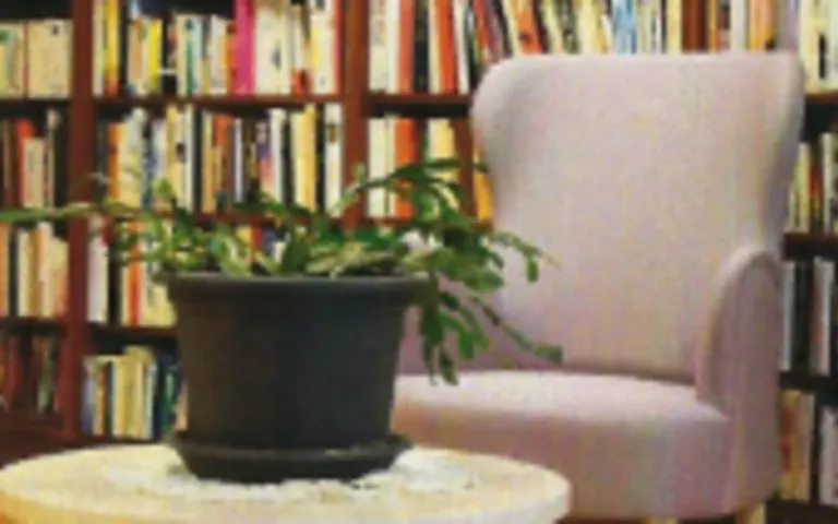 Image Résidence - 1 : Résidence Sainte-Thérèse