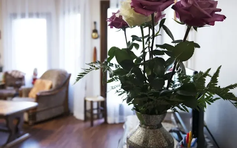 Image Résidence - 2 : Résidence Louis Grassi