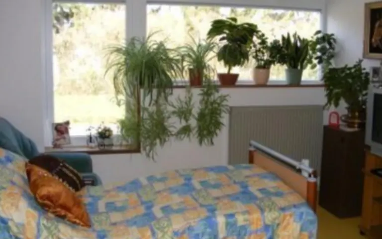 Image Résidence - 2 : EHPAD les Coteaux de Montmorency