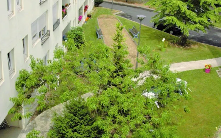 Image Résidence - 2 : Résidence Jean Moracchini