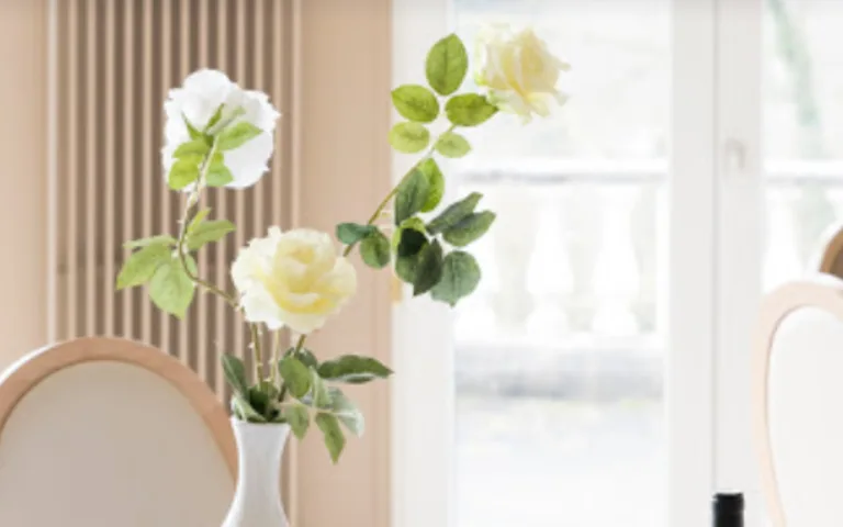 Image Résidence - 2 : EHPAD Domaine de Saint-Pry