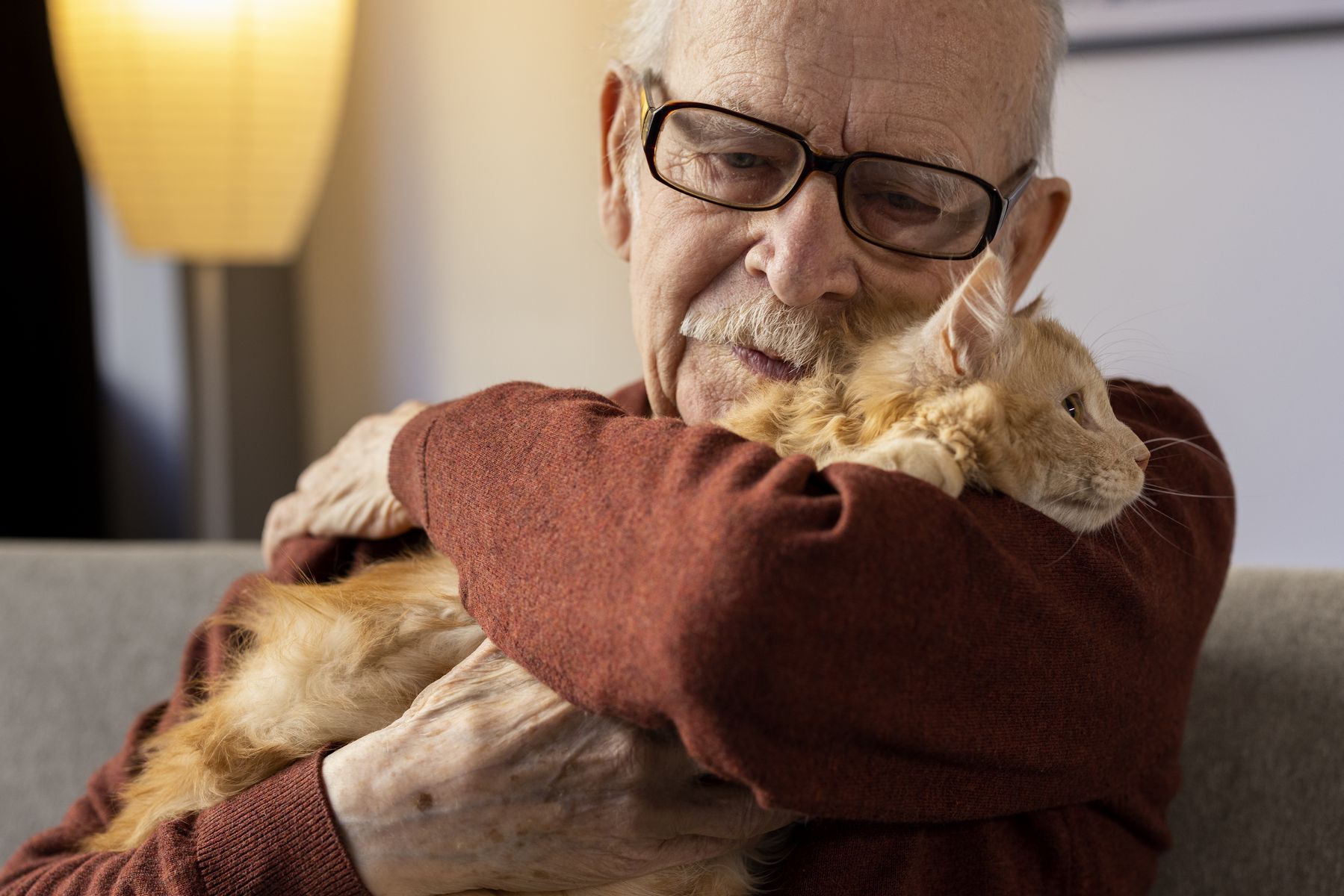 Animaux de compagnie en EHPAD qu’est-ce qui change au printemps 2024 en France
