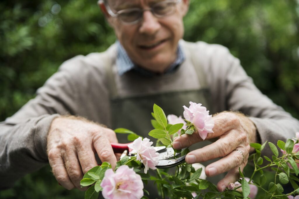senior en atelier jardinage en EHPAD