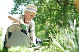 Les bienfaits du jardinage pour les seniors : que planter en fin d'été ?
