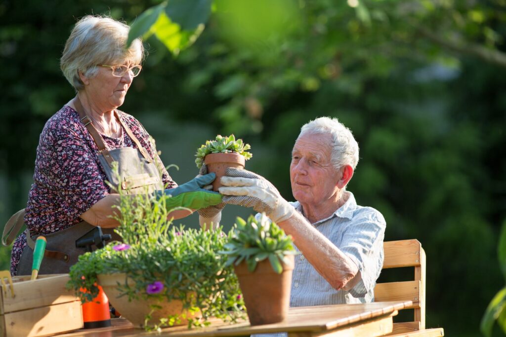 Seniors créant du lien en jardinant