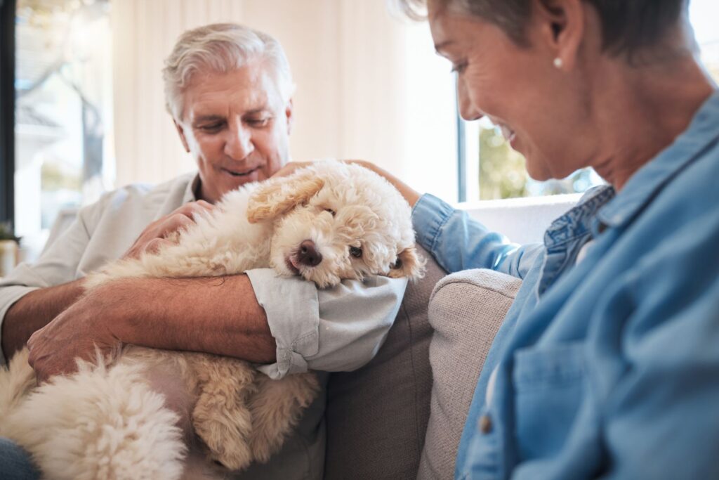 senior en charge de son animal de compagnie au sein de l'ehpad