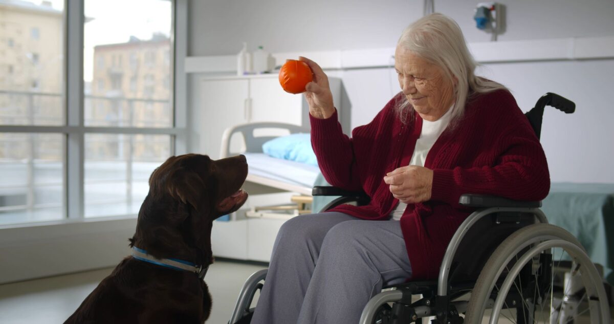 EHPAD et animaux de compagnie : ce que les établissements acceptent vraiment en 2026 (chiens, chats, NAC)