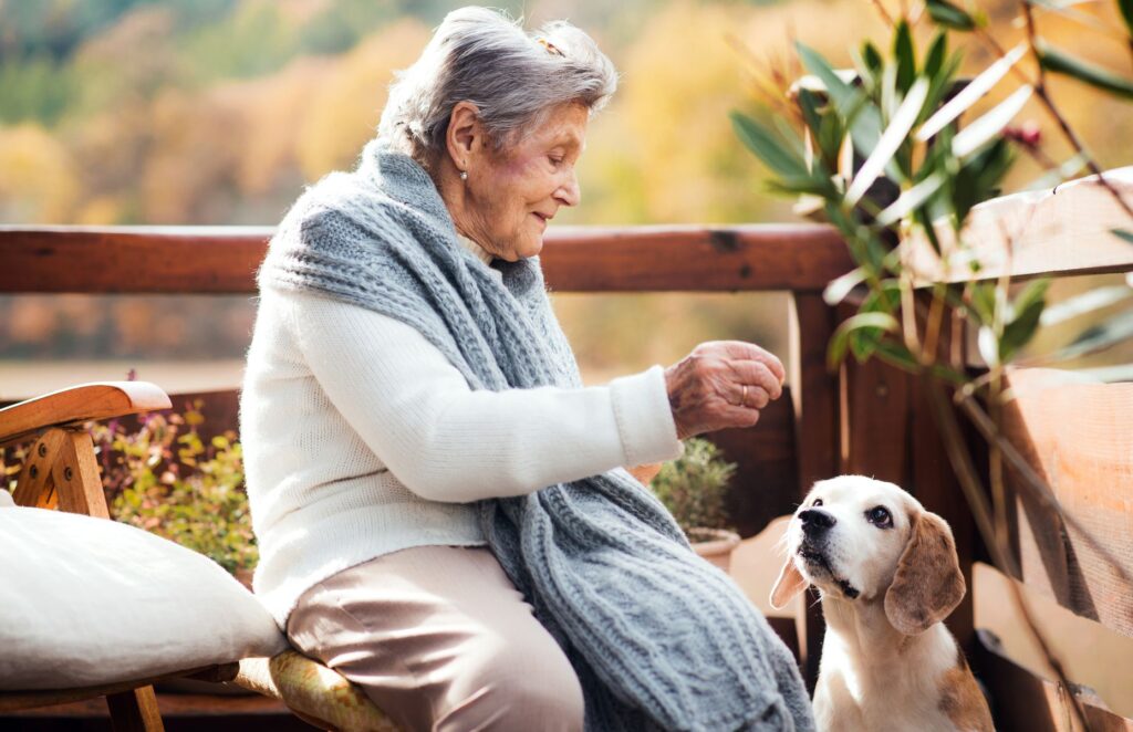 acceptation des animaux de compagnie en ehpad